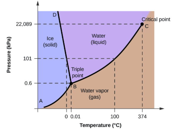Critical point
22,089
Water
Ice
(liquid)
(solid)
101
Triple
point
0.6
B
Water vapor
(gas)
A
0 0.01
100
374
Temperature (°C)
Pressure (kPa)
