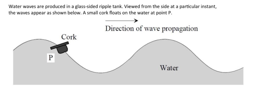 Water waves are produced in a glass-sided ripple tank. Viewed from the side at a particular instant,
the waves appear as shown below. A small cork floats on the water at point P.
Direction of wave propagation
Cork
Water
