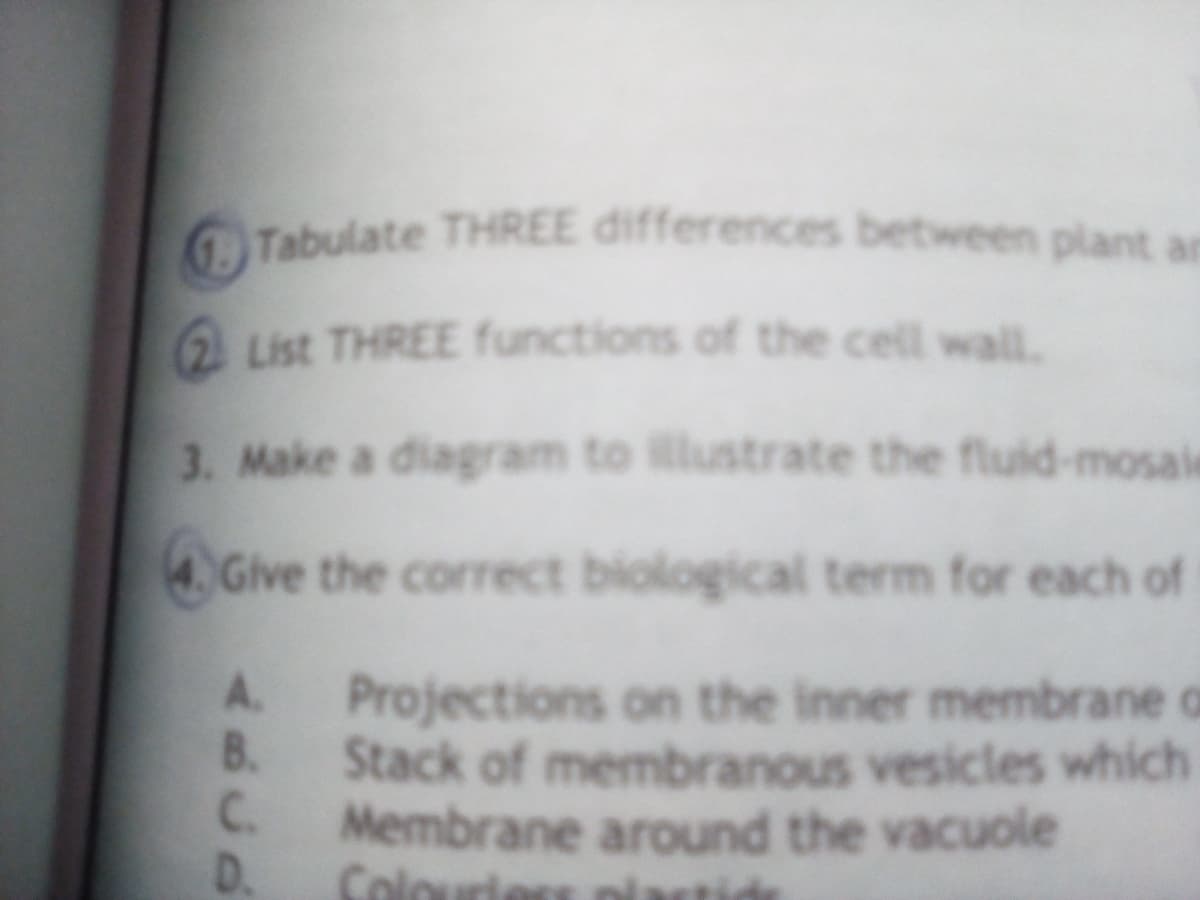 Tabulate THREE differences between plant a
List THREE functions of the cell wall.
3. Make a diagram to illustrate the fluid-mosaie
4 Give the correct biological term for each of
A.
Projections on the inner membrane o
B.
Stack of membranous vesicles which
C.
Membrane around the vacuole
D.
Colouriess olartide

