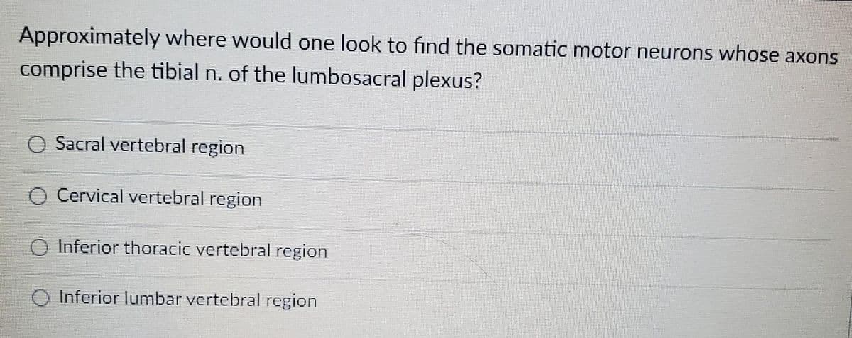 Approximately where would one look to find the somatic motor neurons whose axons
comprise the tibial n. of the lumbosacral plexus?
Sacral vertebral region
Cervical vertebral region
O Inferior thoracic vertebral region
Inferior lumbar vertebral region.