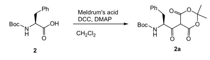 Вос.
2
Ph
LOH
Meldrum's acid
DCC, DMAP
CH₂Cl₂
Boc
Ph.
'N
2a