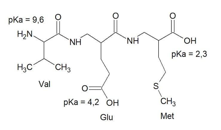 pКa 3D9,6
H2N.
`NH
`NH
HO,
pКa %3D2,3
H3C
CH3
Val
S
pКa %3 4,2 ОН
CH3
Glu
Met
