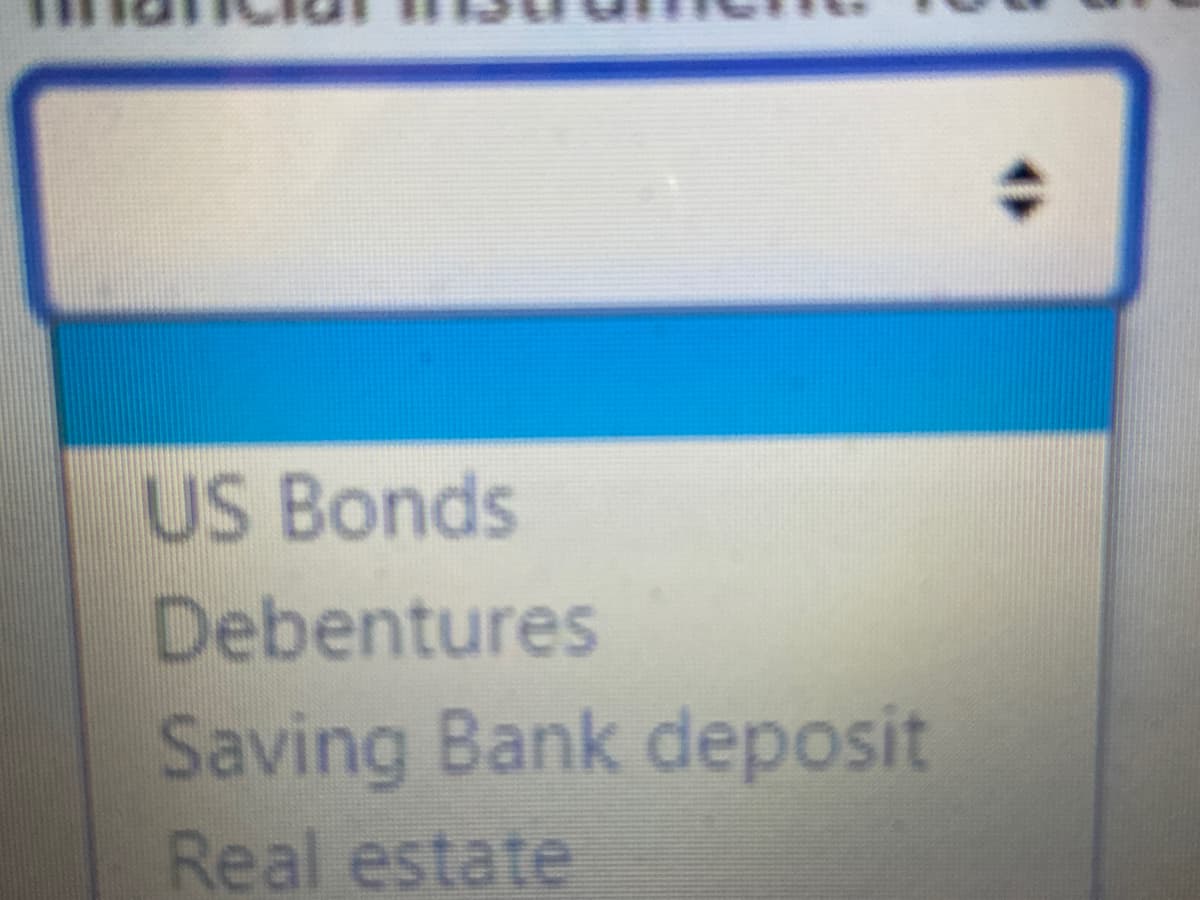 US Bonds
Debentures
Saving Bank deposit
Real estate

