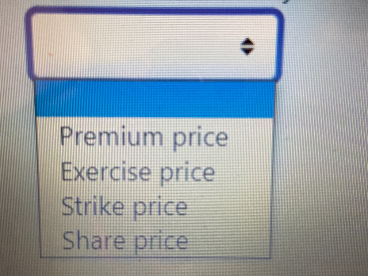 Premium price
Exercise price
Strike price
Share price
