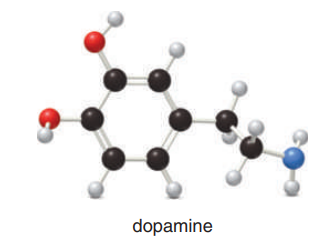 dopamine
