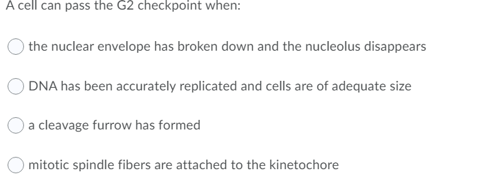A cell can pass the G2 checkpoint when:
the nuclear envelope has broken down and the nucleolus disappears
DNA has been accurately replicated and cells are of adequate size
a cleavage furrow has formed
mitotic spindle fibers are attached to the kinetochore
