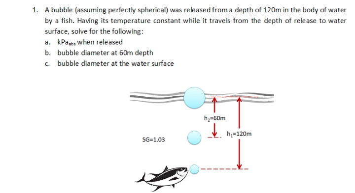 1. A bubble (assuming perfectly spherical) was released from a depth of 120m in the body of water
by a fish. Having its temperature constant while it travels from the depth of release to water
surface, solve for the following:
a. kPabs when released
b. bubble diameter at 60m depth
c. bubble diameter at the water surface
h,=60m
h,=120m
SG=1.03
