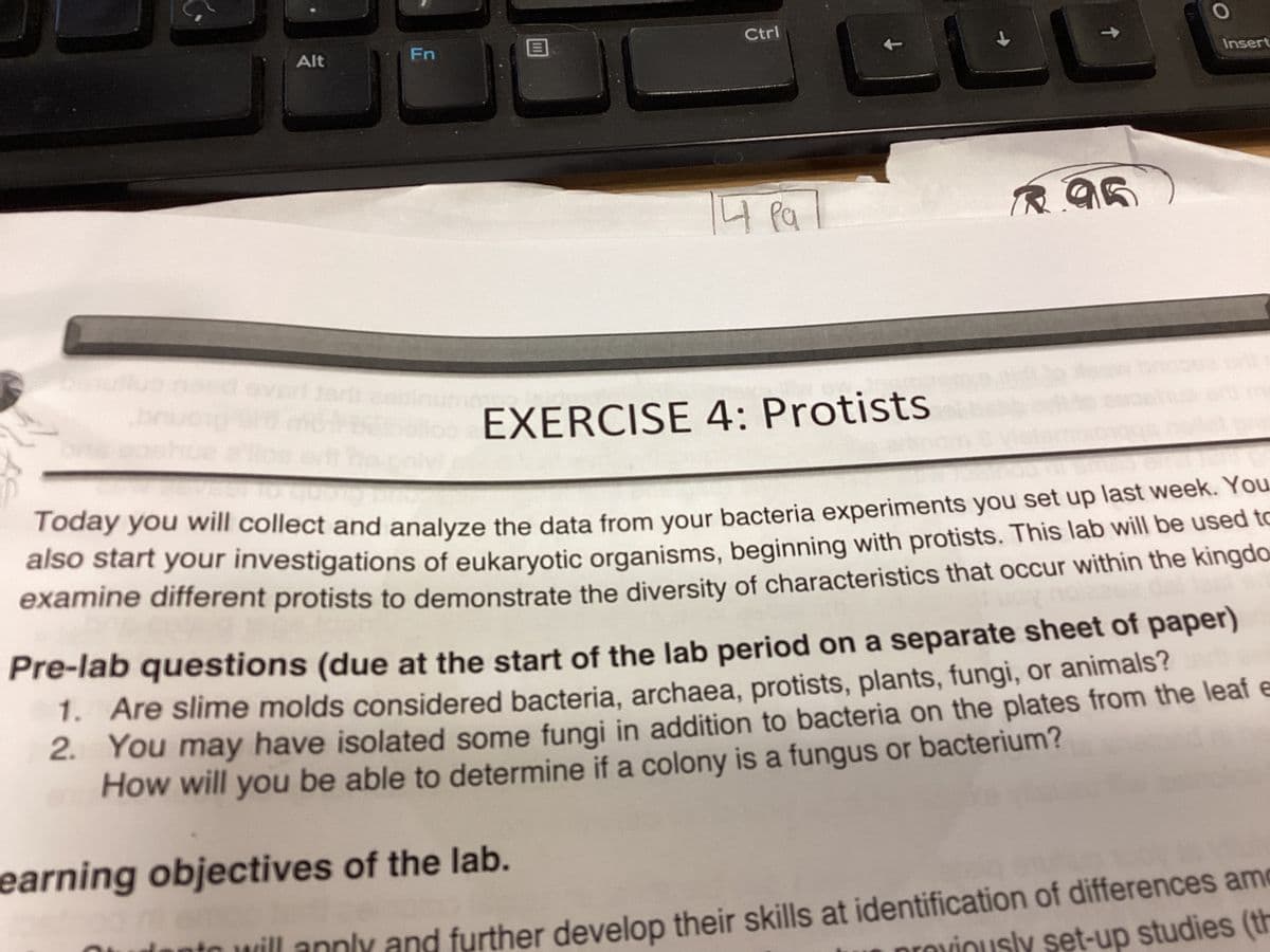 Alt
Fn
Ctrl
14 Pa 7
ра
earning objectives of the lab.
t
↓
↑
Ⓡ.95
O
Insert
hoo EXERCISE 4: Protists
COTTO
300
Today you will collect and analyze the data from your bacteria experiments you set up last week. You
also start your investigations of eukaryotic organisms, beginning with protists. This lab will be used to
examine different protists to demonstrate the diversity of characteristics that occur within the kingdo
Pre-lab questions (due at the start of the lab period on a separate sheet of paper)
1. Are slime molds considered bacteria, archaea, protists, plants, fungi, or animals?
2. You may have isolated some fungi in addition to bacteria on the plates from the leaf e
How will you be able to determine if a colony is a fungus or bacterium?
dont will apply and further develop their skills at identification of differences am
proviously set-up studies (th