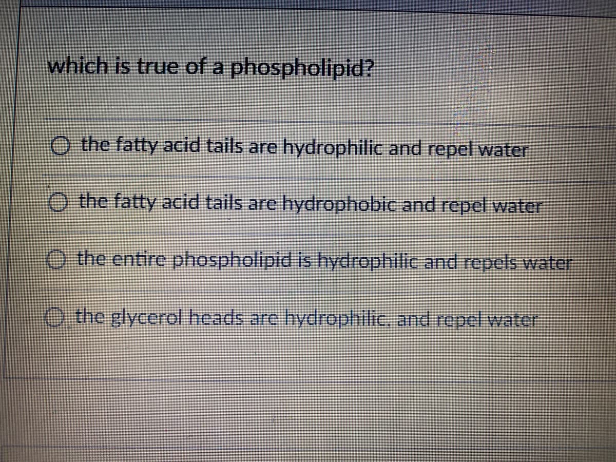 which is true of a phospholipid?
O the fatty acid tails are hydrophilic and repel water
O the fatty acid tails are hydrophobic and repel water
O the entire phospholipid is hydrophilic and repels water
O the glycerol heads are hydrophilic, and repcl water
