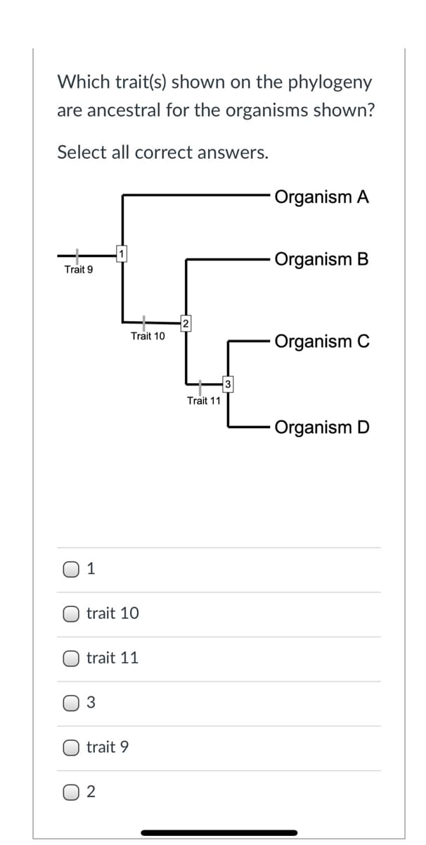 Which trait(s) shown on the phylogeny
are ancestral for the organisms shown?
Select all correct answers.
Organism A
Organism B
Trait 9
Trait 10
- Organism C
Trait 11
- Organism D
O 1
trait 10
trait 11
trait 9
O 2
