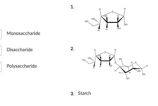 1.
HO
HO
OH
Monosaccharide
2.
Disaccharide
H
HO
Polysaccharide
H.
OH
3. Starch
