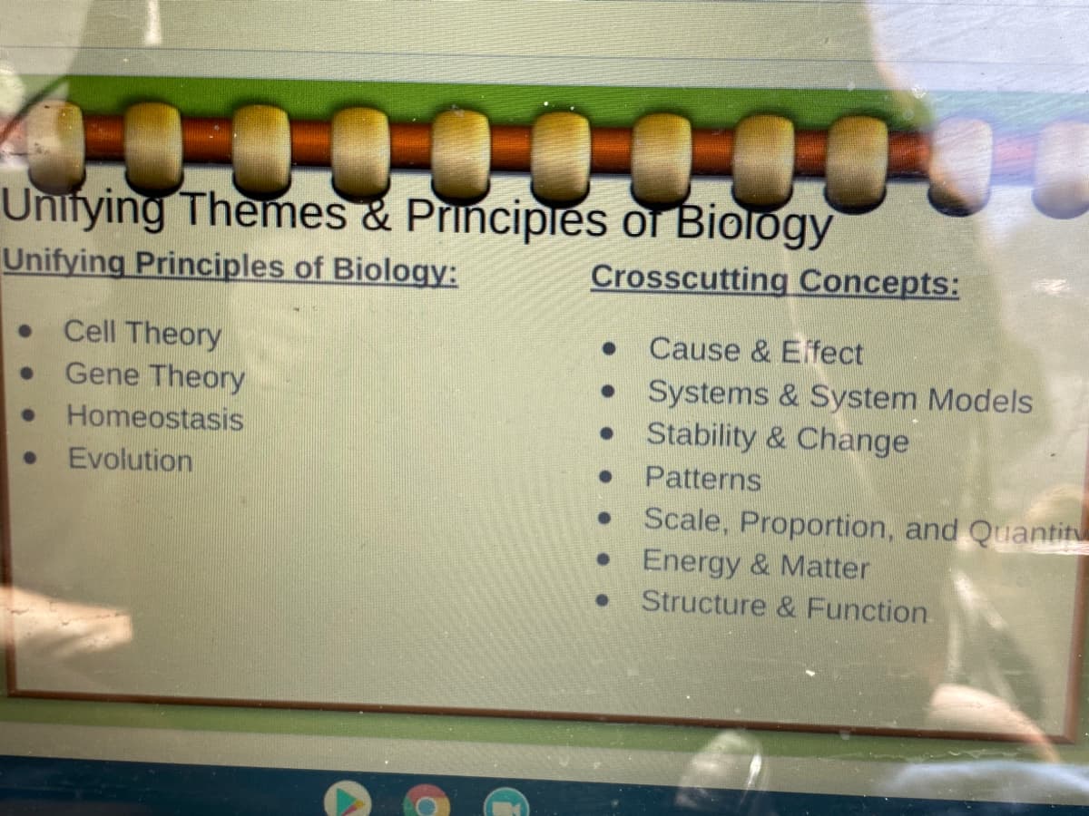 Uniying Themes & Principies or Biology
Unifying Principles of Biology:
Crosscutting Concepts:
Cell Theory
Cause & Eifect
Systems & System Models
• Stability & Change
Gene Theory
Homeostasis
Evolution
Patterns
Scale, Proportion, and Quantitu
• Energy & Matter
Structure &Function.
