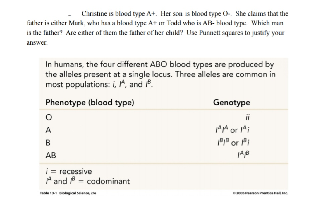 Christine is blood type A+. Her son is blood type 0-. She claims that the
father is either Mark, who has a blood type A+ or Todd who is AB- blood type. Which man
is the father? Are either of them the father of her child? Use Punnett squares to justify your
answer.
In humans, the four different ABO blood types are produced by
the alleles present at a single locus. Three alleles are common in
most populations: i, A, and 18.
Phenotype (blood type)
Genotype
ii
A
AJA or IAi
В
B1B or 1Bi
АВ
i = recessive
A and 1B = codominant
%3D
Table 13-1 Biological Science, 2/e
0 2005 Pearson Prentice Hall, Inc.
