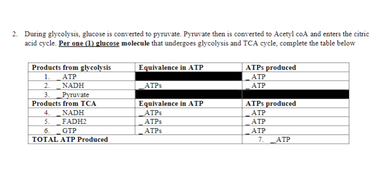 2. During glycolysis, glucose is converted to pyruvate. Pyruvate then is converted to Acetyl coA and enters the citric
acid cycle. Per one (1) glucose molecule that undergoes glycolysis and TCA cycle, complete the table below
Equivalence in ATP
Products from glycolysis
1. ATP
2. _NADH
Pyruvate
ATP: produced
ATP
АТР
ATPS
3.
ATPS produced
АТР
АТР
Products from TCA
Equivalence in ATP
NADH
5. _FADH2
6. GTP
4.
ATPS
ATPS
ATPS
АТР
TOTAL ATP Produced
7.
ATP
