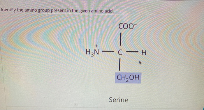 Identify the amino group present in the given amino acid.
COO™
H₂N-CH
|
CH₂OH
Serine