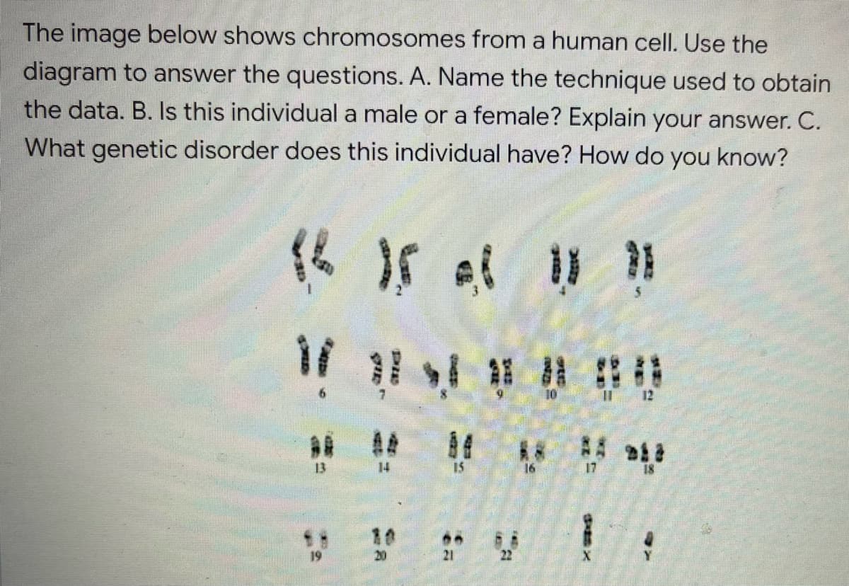 The image below shows chromosomes from a human cell. Use the
diagram to answer the questions. A. Name the technique used to obtain
the data. B. Is this individual a male or a female? Explain your answer. C.
What genetic disorder does this individual have? How do you know?
《ㄍ 15 。
12
13
14
15
16
17
10
20
21
22
