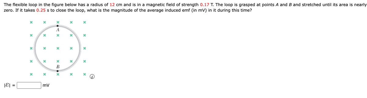The flexible loop in the figure below has a radius of 12 cm and is in a magnetic field of strength 0.17 T. The loop is grasped at points A and B and stretched until its area is nearly
zero. If it takes 0.25 s to close the loop, what is the magnitude of the average induced emf (in mV) in it during this time?
@
|ε]
=
x
x
x
X
X
mV
X.AX
A
X
XBOX
X
X
x
X
*