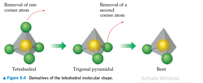 Removal of one
Removal of a
second
corner atom
corner atom
Tetrahedral
Trigonal pyramidal
Bent
A Figure 9.4 Derivatives of the tetrahedral molecular shape.
Activate Windows
