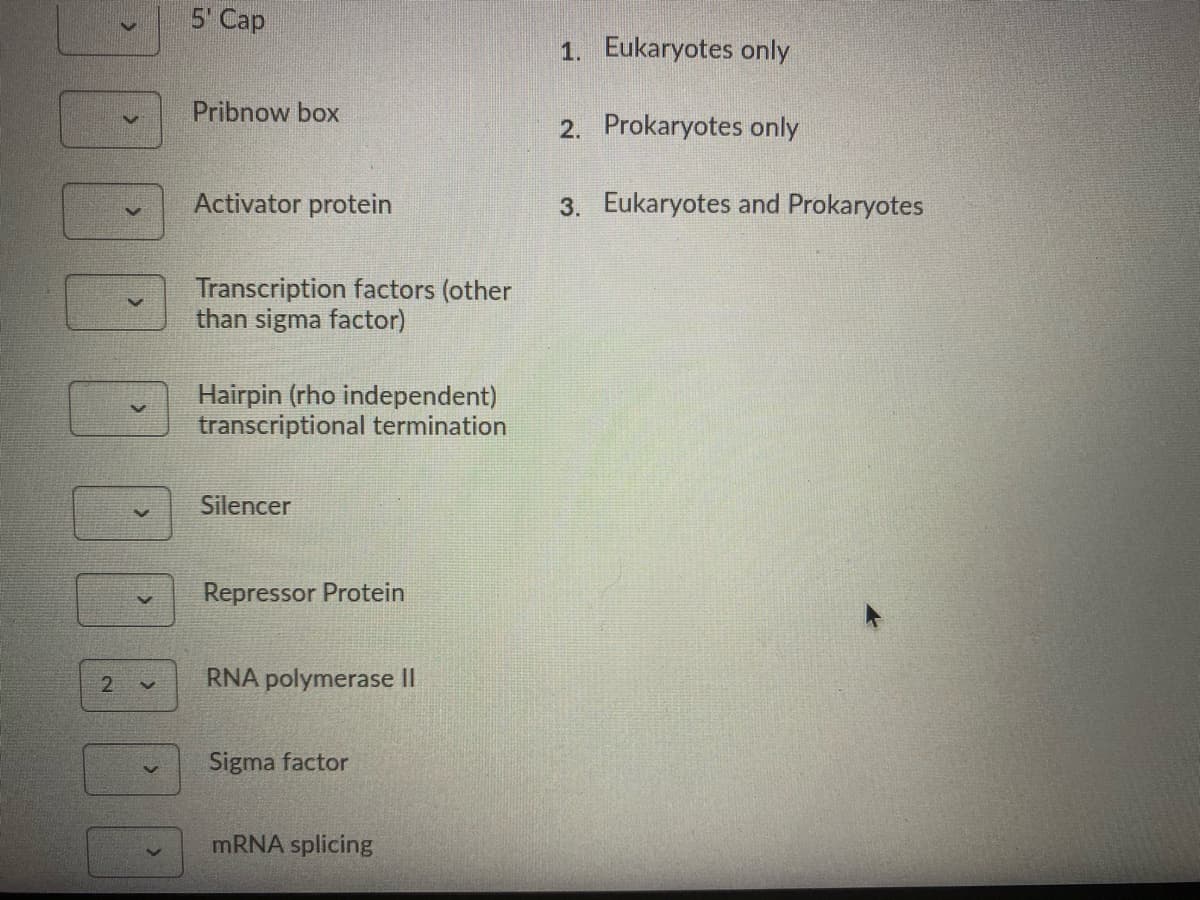 5' Cap
1. Eukaryotes only
Pribnow box
2. Prokaryotes only
Activator protein
3. Eukaryotes and Prokaryotes
Transcription factors (other
than sigma factor)
Hairpin (rho independent)
transcriptional termination
Silencer
Repressor Protein
21
RNA polymerase II
Sigma factor
MRNA splicing
