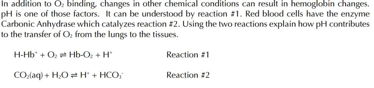 In addition to O, binding, changes in other chemical conditions can result in hemoglobin changes.
pH is one of those factors. It can be understood by reaction #1. Red blood cells have the enzyme
Carbonic Anhydrase which catalyzes reaction #2. Using the two reactions explain how pH contributes
to the transfer of O2 from the lungs to the tissues.
H-Hb* + O2 Hb-O2 + H*
Reaction #1
CO2(aq) + H2O= H* + HCO3
Reaction #2
