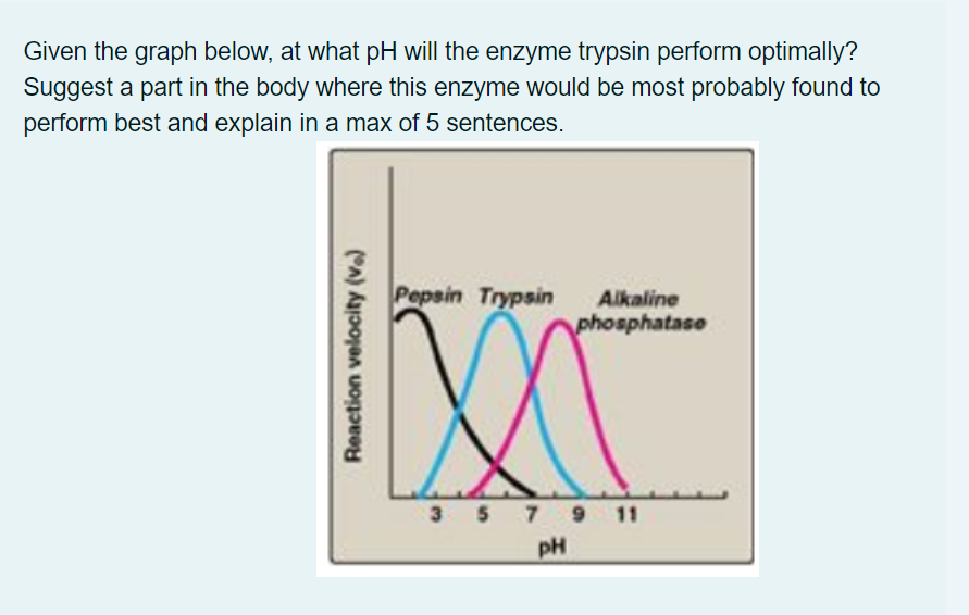 Given the graph below, at what pH will the enzyme trypsin perform optimally?
Suggest a part in the body where this enzyme would be most probably found to
perform best and explain in a max of 5 sentences.
Pepsin Trypsin Alkaline
phosphatase
3 5 7 9 11
pH
Reaction velocity (va)
