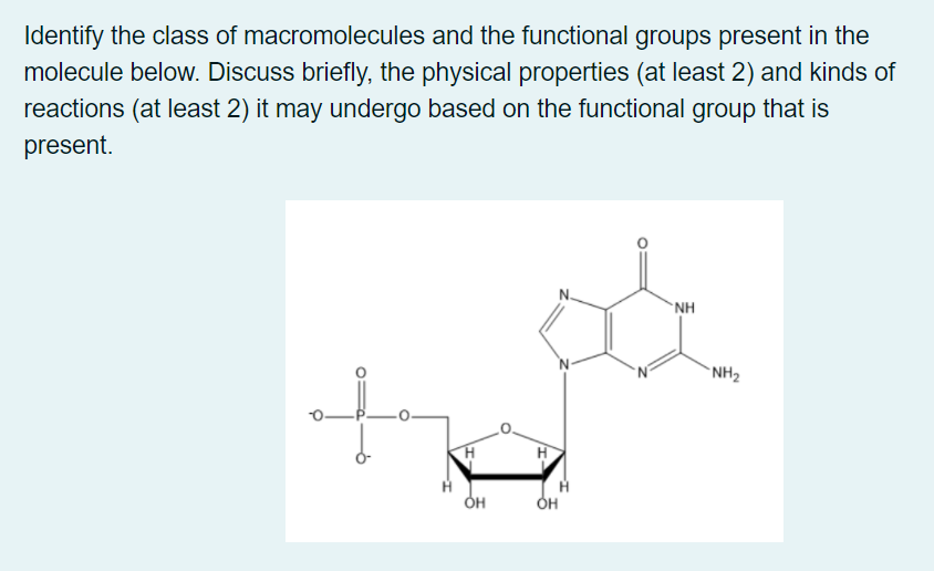 Identify the class of macromolecules and the functional groups present in the
molecule below. Discuss briefly, the physical properties (at least 2) and kinds of
reactions (at least 2) it may undergo based on the functional group that is
present.
`NH
"NH2
OH
он
