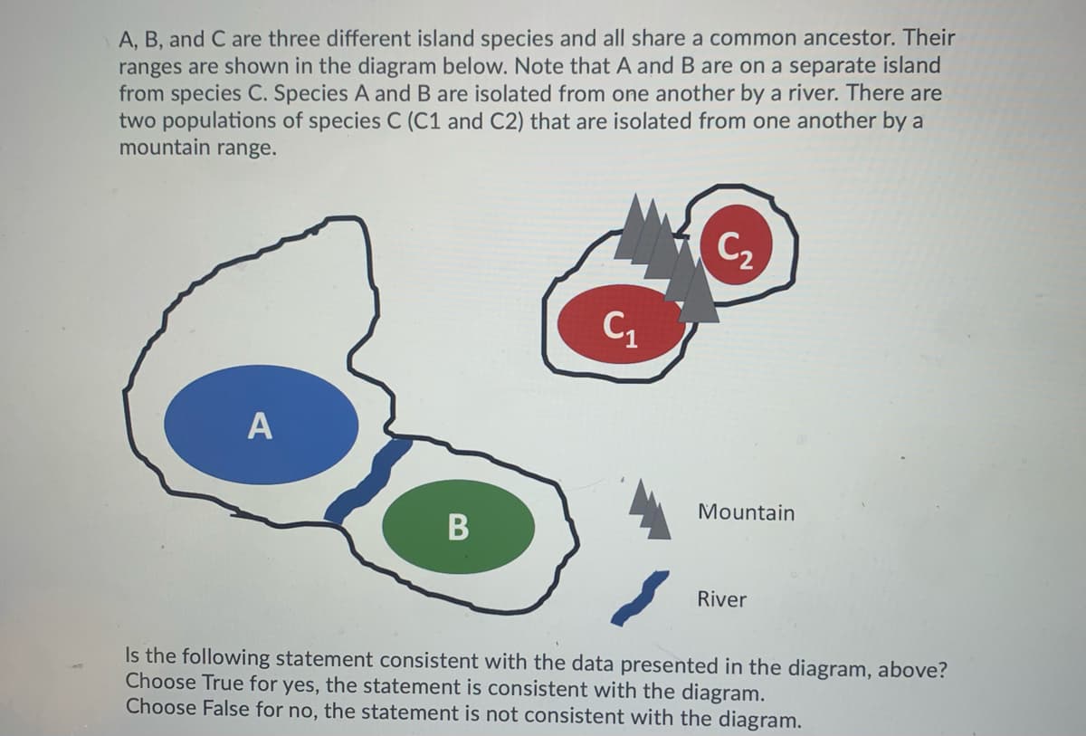 A, B, and C are three different island species and all share a common ancestor. Their
ranges are shown in the diagram below. Note that A and B are on a separate island
from species C. Species A and B are isolated from one another by a river. There are
two populations of species C (C1 and C2) that are isolated from one another by a
mountain range.
C2
C1
A
Mountain
В
River
Is the following statement consistent with the data presented in the diagram, above?
Choose True for yes, the statement is consistent with the diagram.
Choose False for no, the statement is not consistent with the diagram.
