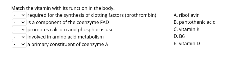 Match the vitamin with its function in the body.
required for the synthesis of clotting factors (prothrombin)
v is a component of the coenzyme FAD
v promotes calcium and phosphorus use
v involved in amino acid metabolism
v a primary constituent of coenzyme A
A. riboflavin
B. pantothenic acid
C. vitamin K
D. B6
E. vitamin D
