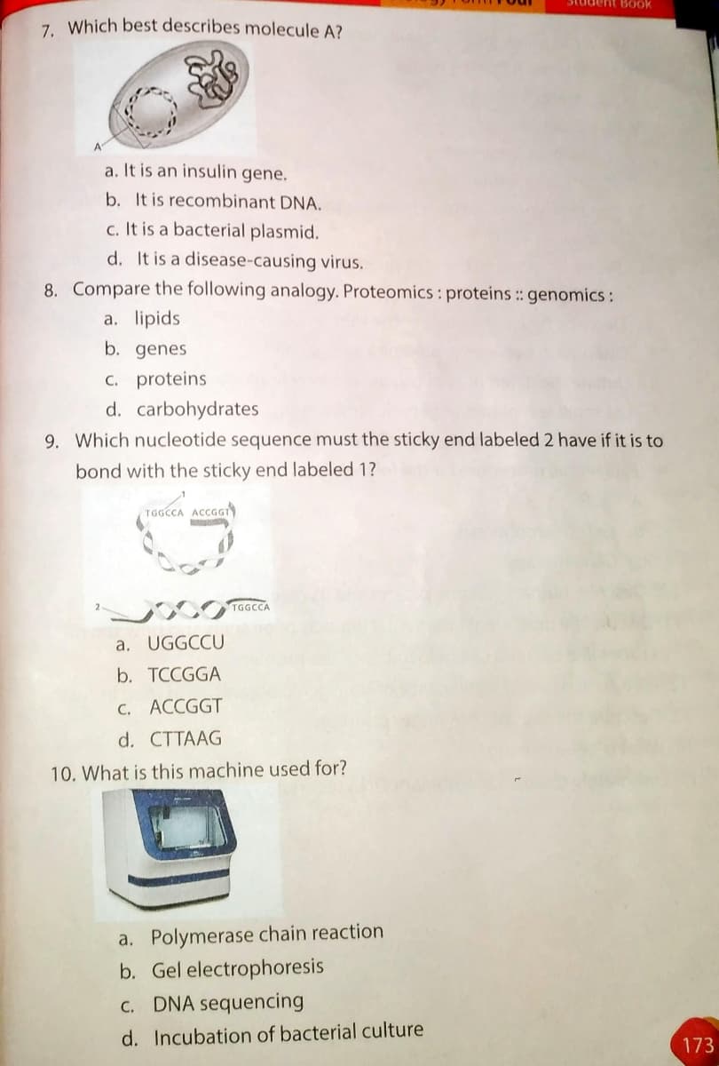 Student BOok
7. Which best describes molecule A?
A'
a. It is an insulin gene.
b. It is recombinant DNA.
c. It is a bacterial plasmid.
d. It is a disease-causing virus.
8. Compare the following analogy. Proteomics : proteins:: genomics:
a. lipids
b. genes
C. proteins
d. carbohydrates
9. Which nucleotide sequence must the sticky end labeled 2 have if it is to
bond with the sticky end labeled 1?
TGGCCA ACCGGT
TGGCCA
a. UGGCCU
b. TCCGGA
C. ACCGGT
d. CTTAAG
10. What is this machine used for?
a. Polymerase chain reaction
b. Gel electrophoresis
c. DNA sequencing
d. Incubation of bacterial culture
173
