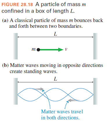 FIGURE 28.18 A particle of mass m
confined in a box of length L.
(a) A classical particle of mass m bounces back
and forth between two boundaries.
L
m
V
(b) Matter waves moving in opposite directions
create standing waves.
L
Matter waves travel
in both directions.
