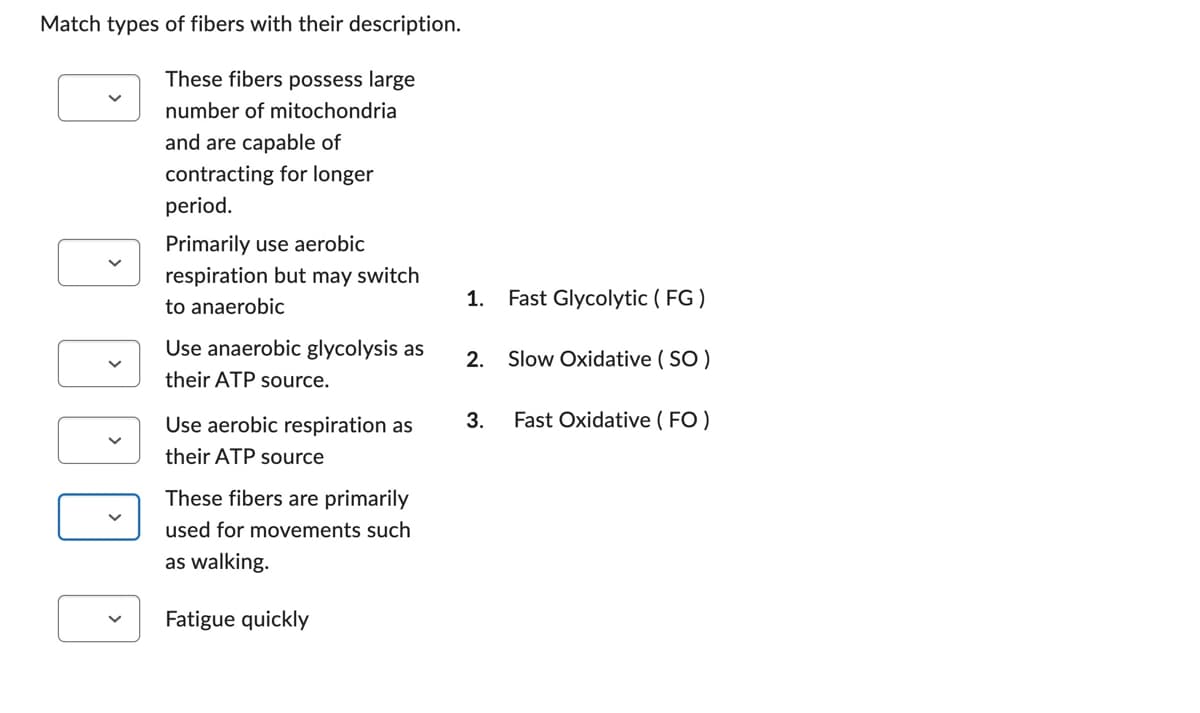Match types of fibers with their description.
These fibers possess large
number of mitochondria
and are capable of
contracting for longer
period.
... .
Primarily use aerobic
respiration but may switch
to anaerobic
Use anaerobic glycolysis as
their ATP source.
Use aerobic respiration as
their ATP source
These fibers are primarily
used for movements such
as walking.
Fatigue quickly
1. Fast Glycolytic (FG)
2. Slow Oxidative (SO)
3. Fast Oxidative (FO)