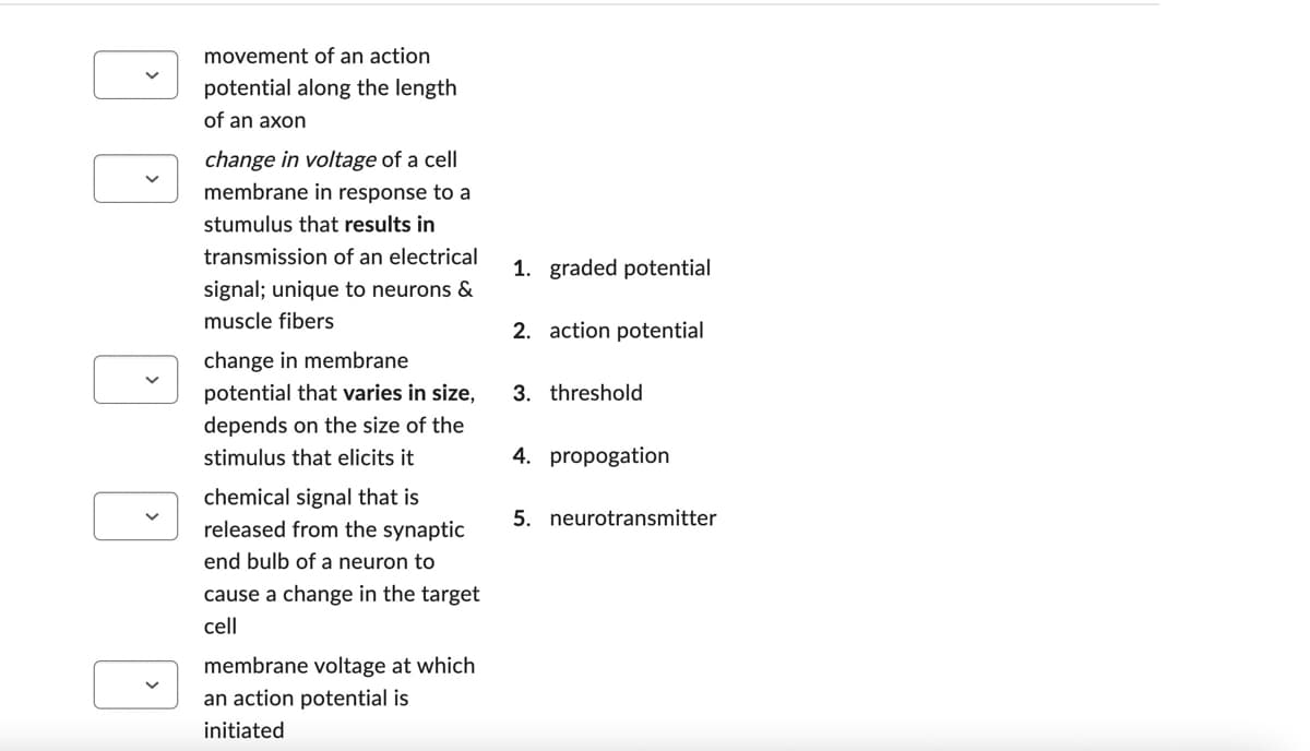 DD
D
movement of an action
potential along the length
of an axon
change in voltage of a cell
membrane in response to a
stumulus that results in
transmission of an electrical
signal; unique to neurons &
muscle fibers
change in membrane
potential that varies in size,
depends on the size of the
stimulus that elicits it
chemical signal that is
released from the synaptic
end bulb of a neuron to
cause a change in the target
cell
membrane voltage at which
an action potential is
initiated
1. graded potential
2. action potential
3. threshold
4. propogation
5. neurotransmitter