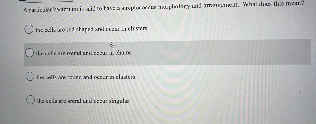 A particular bacterium is said to have a streptococcus morphology and arrangement. What does this mean?
the cells are rod shaped and occur in clusters
the cells are round and occur in chains
the cells are round and occur in clusters
the cells are spiral and occur singular