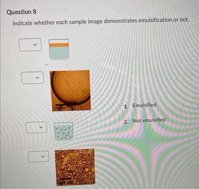 Question 8
Indicate whether each sample image demonstrates emulsification or not.
100 um
1. Emulsified
2. Not emulsified
>

