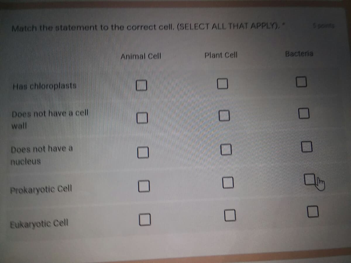Match the statement to the correct cell. (SELECT ALL THAT APPLY),
5points
Animal Cell
Plant Cell
Bacteria
Has chloroplasts
Does not have a cell
wall
Does not have a
nucleus
Prokaryotic Cell
Eukaryotic Cell
OO O O C
O O O O O
