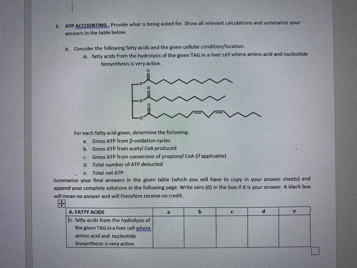 1.
ATP ACCOUNTING Provide what is being asked for. Show all relevant calculations and summarize your
answers in the table below.
A. Consider the following fatty acids and the given cellular condition/location.
iii. fatty acids from the hydrolysis of the given TAG in a liver cell where amino acid and nucleotide
biosynthesis is very active.
0
Hem
For each fatty acid given, determine the following.
a.
Gross ATP from B-oxidation cycles
b. Gross ATP from acetyl CoA produced
C.
Gross ATP from conversion of propionyl CoA (if applicable)
d.
Total number of ATP deducted
e. Total net ATP
Summarize your final answers in the given table (which you will have to copy in your answer sheets) and
append your complete solutions in the following page. Write zero (0) in the box if it is your answer. A blank box
will mean no answer and will therefore receive no credit.
A. FATTY ACIDS
a
b
C
d
e
ii. fatty acids from the hydrolysis of
the given TAG in a liver cell where
amino acid and nucleotide
biosynthesis is very active.