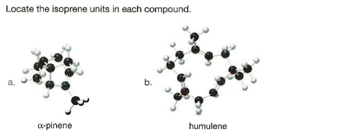 Locate the isoprene units in each compound.
a-pinene
humulene
