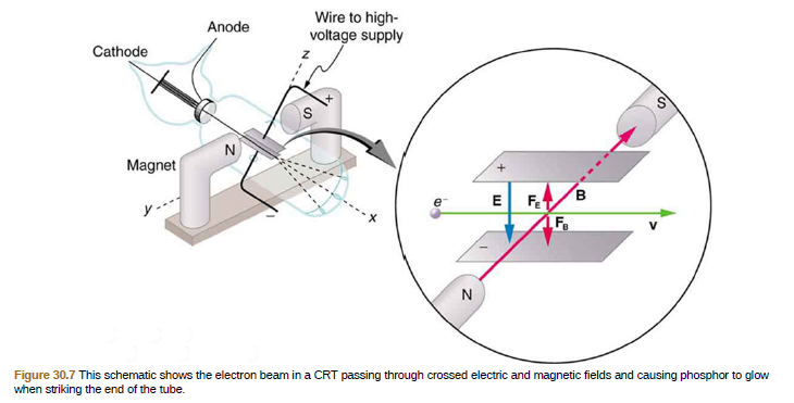 Wire to high-
voltage supply
Anode
Cathode
Magnet
E F B
ДF.
N
Figure 30.7 This schematic shows the electron beam in a CRT passing through crossed electric and magnetic fields and causing phosphor to glow
when striking the end of the tube.
