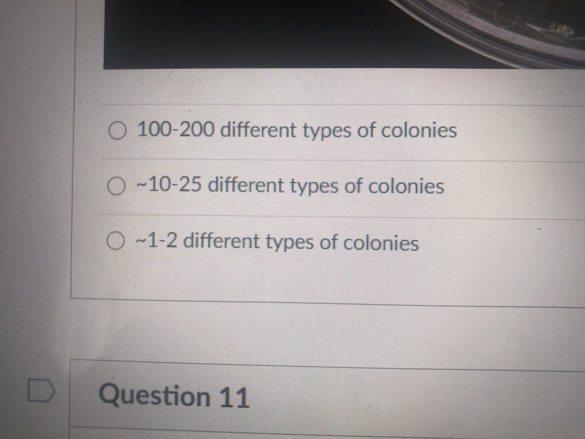O 100-200 different types of colonies
O ~10-25 different types of colonies
O -1-2 different types of colonies
Question 11
