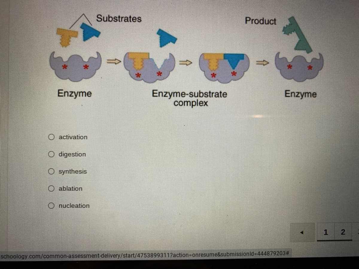 Substrates
Product
Enzyme
Enzyme-substrate
complex
Enzyme
activation
O digestion
synthesis
O ablation
O nucleation
2
schoology.com/common-assessment-delivery/start/4753899311?action%3Donresume&submissionld=444879203#
