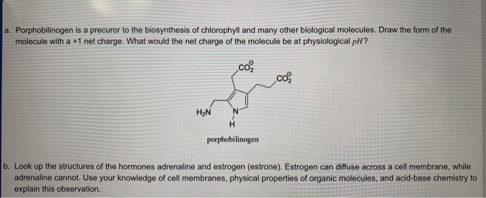 a. Porphobilinogen is a precuror to the biosynthesis of chlorophyll and many other biological molecules. Draw the form of the
molecule with a +1 net charge. What would the net charge of the molecule be at physiological pH?
co
co
H2N
porphobilinogen
b. Look up the structures of the hormones adrenaline and estrogen (estrone). Estrogen can diffuse across a cell membrane, while
adrenaline cannot. Use your knowledge of cell membranes, physical properties of organic molecules, and acid-base chemistry to
explain this observation.
