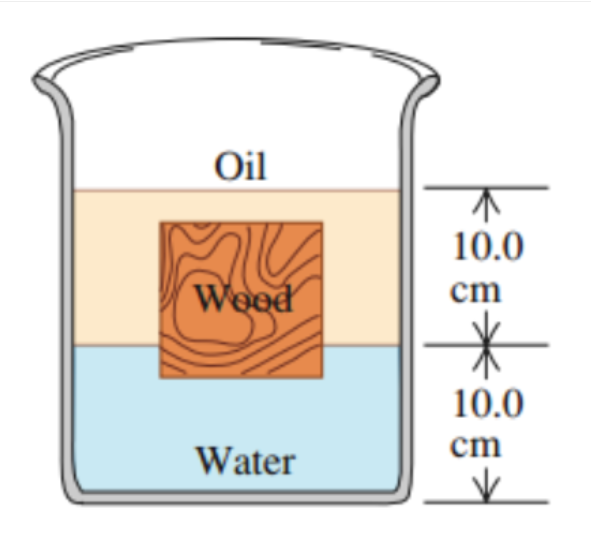 Oil
10.0
Weed
cm
10.0
cm
Water
