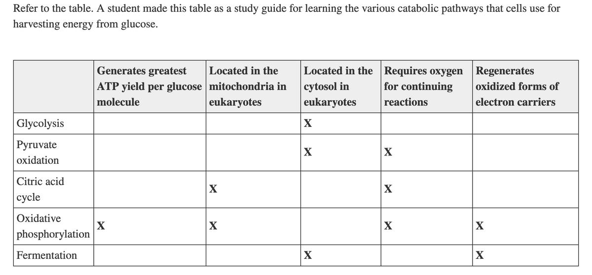 Refer to the table. A student made this table as a study guide for learning the various catabolic pathways that cells use for
harvesting energy from glucose.
Located in the Requires oxygen Regenerates
for continuing
Generates greatest
Located in the
|ATP yield per glucose mitochondria in
molecule
cytosol in
oxidized forms of
eukaryotes
eukaryotes
reactions
electron carriers
Glycolysis
X
Pyruvate
X
X
oxidation
|Citric acid
X
X
|сycle
Oxidative
X
X
X
phosphorylation
Fermentation
X
X
