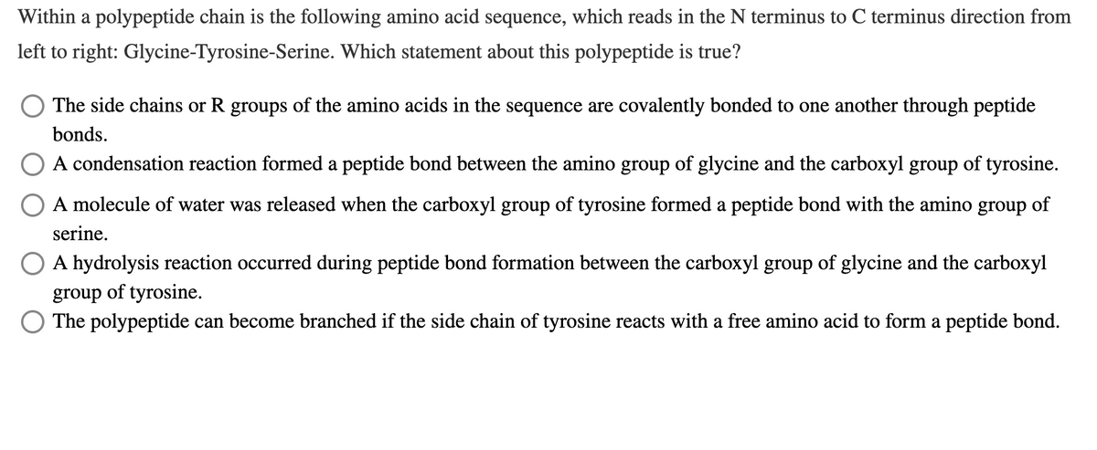 Within a polypeptide chain is the following amino acid sequence, which reads in the N terminus to C terminus direction from
left to right: Glycine-Tyrosine-Serine. Which statement about this polypeptide is true?
The side chains or R groups of the amino acids in the sequence are covalently bonded to one another through peptide
bonds.
O A condensation reaction formed a peptide bond between the amino group of glycine and the carboxyl group of tyrosine.
A molecule of water was released when the carboxyl group of tyrosine formed a peptide bond with the amino group of
serine.
O A hydrolysis reaction occurred during peptide bond formation between the carboxyl group of glycine and the carboxyl
group of tyrosine.
O The polypeptide can become branched if the side chain of tyrosine reacts with a free amino acid to form a peptide bond.
