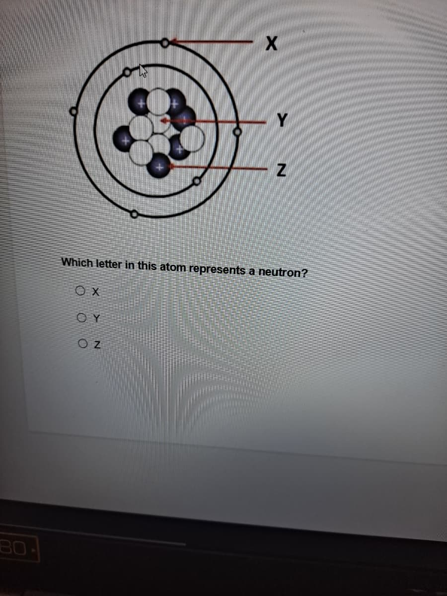 Which letter in this atom represents a neutron?
O Y
80
