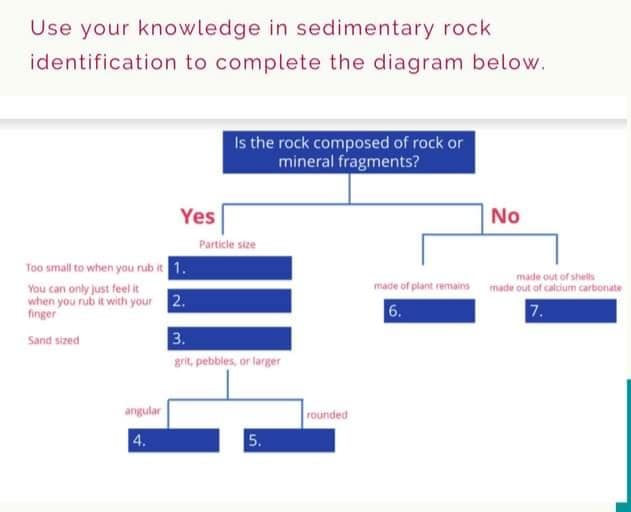 Use your knowledge in sedimentary rock
identification to complete the diagram below.
Too small to when you rub it
You can only just feel it
when you rub it with your
finger
Sand sized
angular
4.
Yes
1.
2.
Is the rock composed of rock or
mineral fragments?
Particle size
3.
grit, pebbles, or larger
5.
rounded
No
made out of shells
made of plant remains made out of calcium carbonate
6.
7.