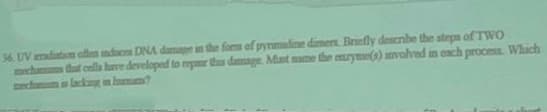 36. UV indiation often indooms DNA damage in the form of pyramidine dimers Briefly describe the steps of TWO
mechains that cells have developed to repair this damage. Must name the enzyme(s) involved in each process. Which