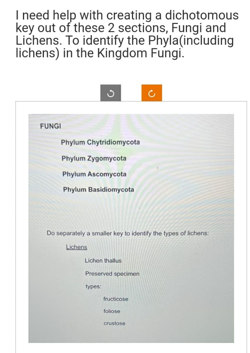 I need help with creating a dichotomous
key out of these 2 sections, Fungi and
Lichens. To identify the Phyla(including
lichens) in the Kingdom Fungi.
FUNGI
Phylum Chytridiomycota
Phylum Zygomycota
Phylum Ascomycota
Phylum Basidiomycota
Do separately a smaller key to identify the types of lichens:
Lichens
Lichen thallus
Preserved specimen
types:
fructicose
foliose
crustose