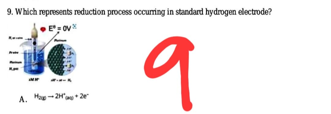 9. Which represents reduction process occuring in standard hydrogen electrode?
• E° = ov
9
Ptm
Paria
H, gas
a.- H.
А.
Hzg
- 2H"(ag) + 2e"
