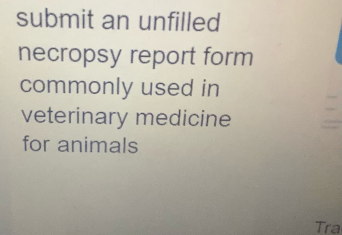 submit an unfilled
necropsy report form
commonly used in
veterinary medicine
for animals
Tra
